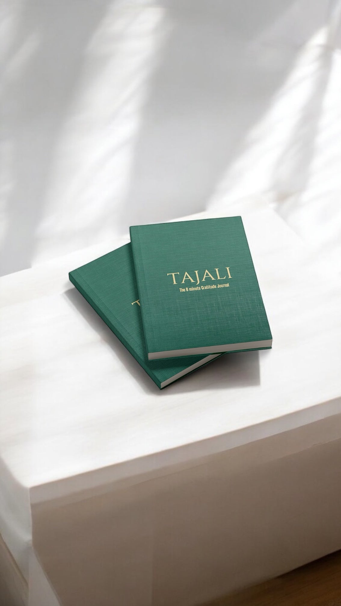 The 6 minute gratitude journal