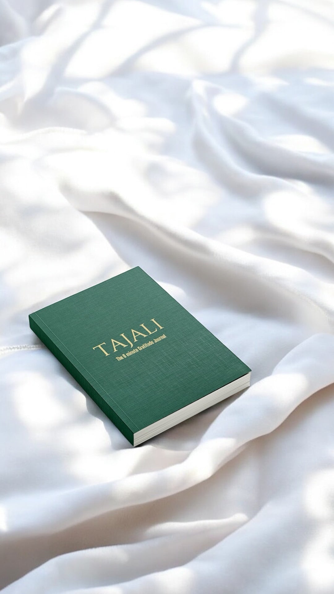 The 6 minute gratitude journal