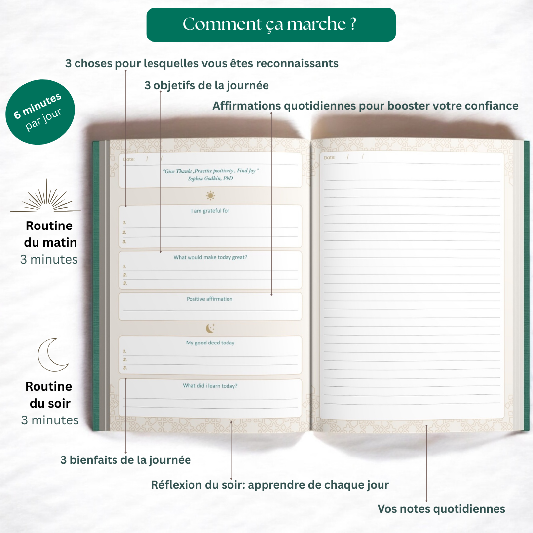 The 6 minute gratitude journal