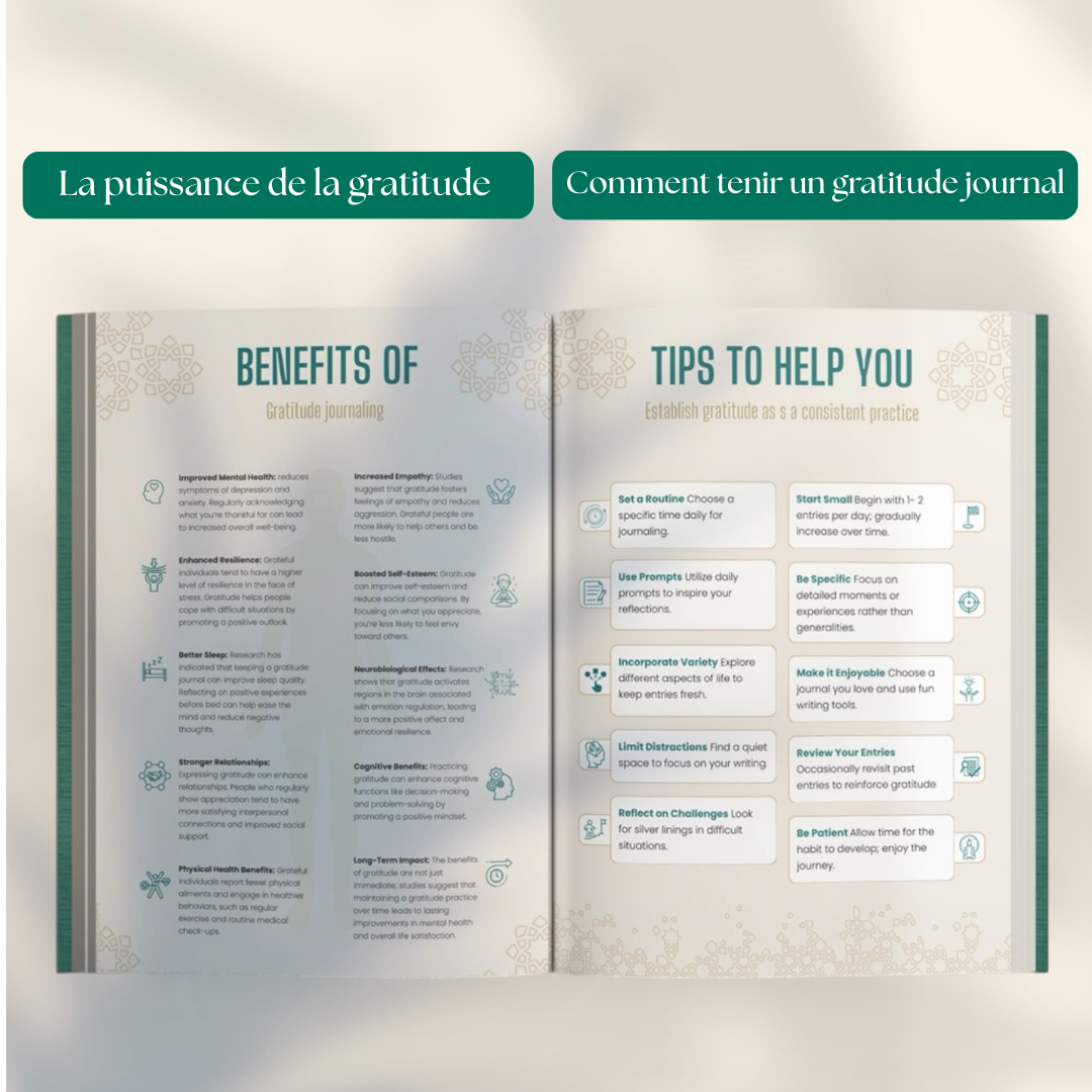 The 6 minute gratitude journal