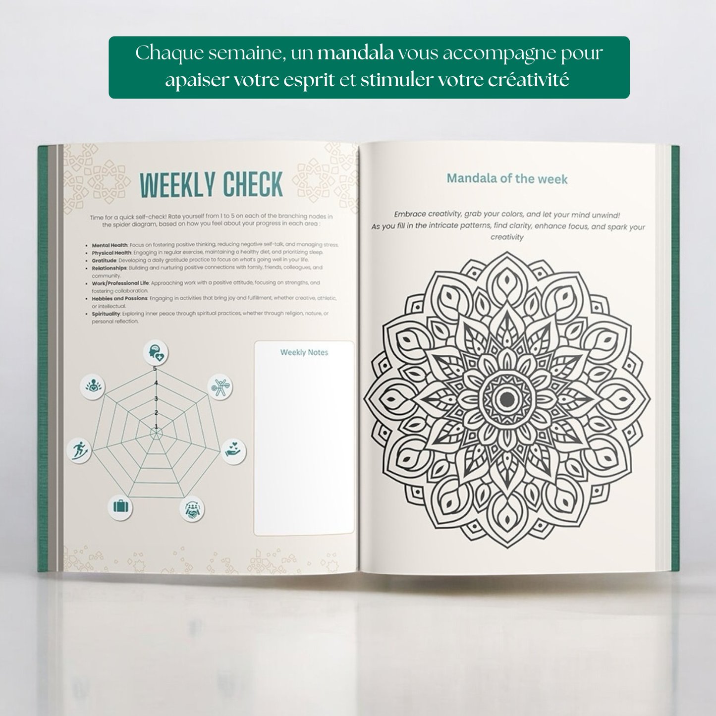 The 6 minute gratitude journal